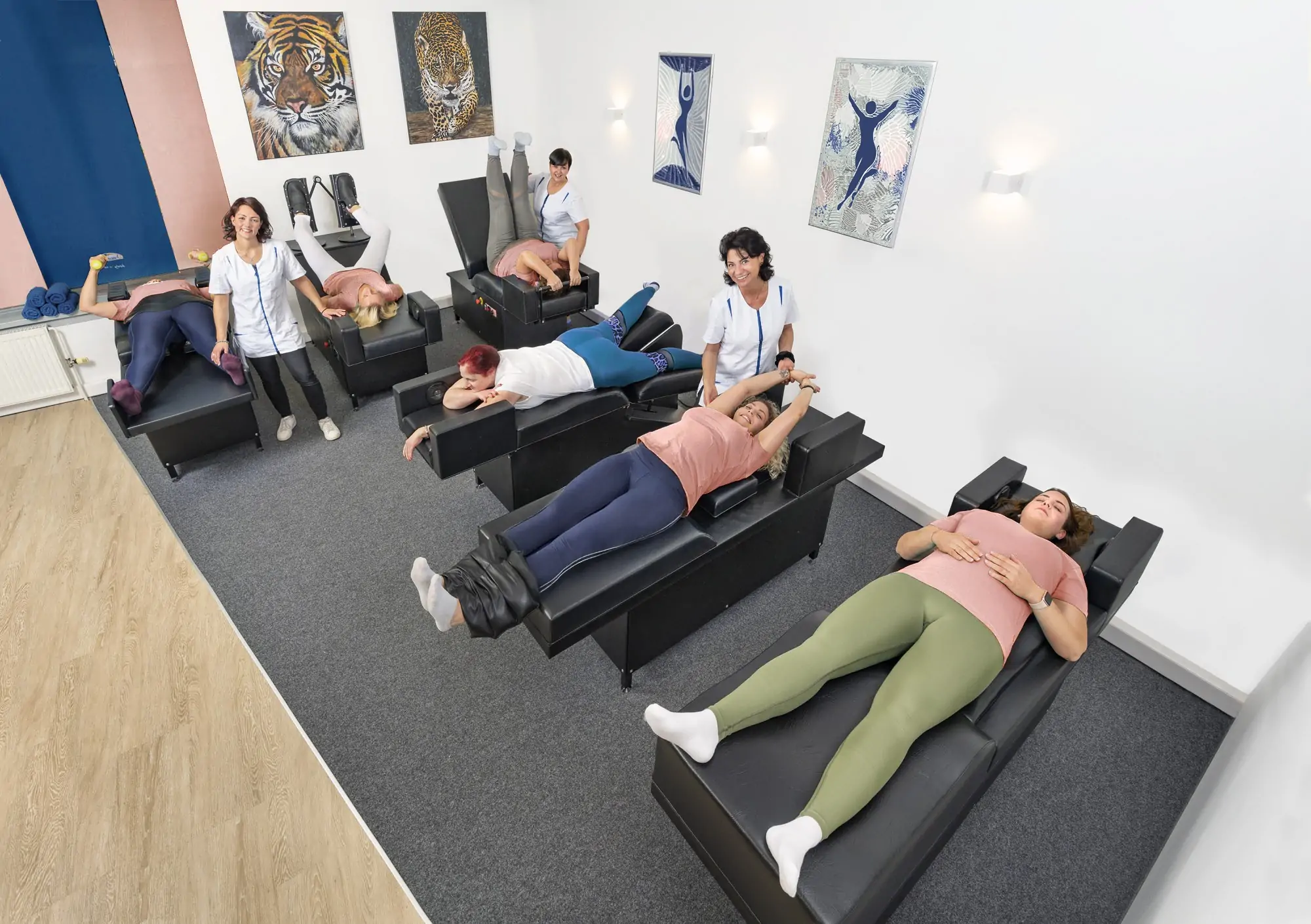 geführtes Ganzkörpertraining in Wien